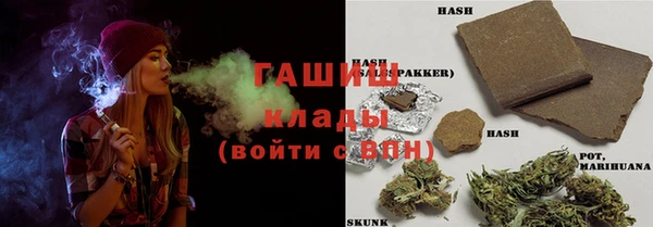 эйфоретик Бородино