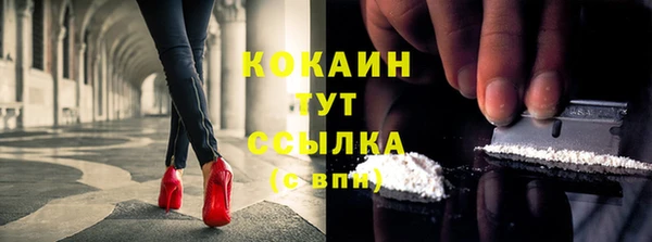 эйфоретик Бородино