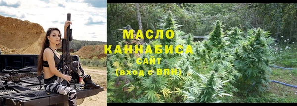 эйфоретик Бородино