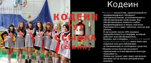 эйфоретик Бородино