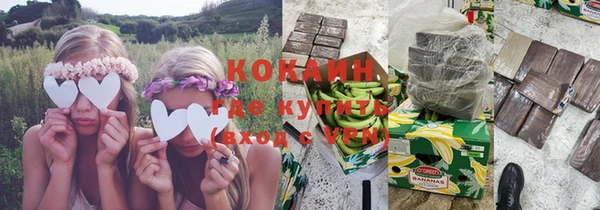 эйфоретик Бородино