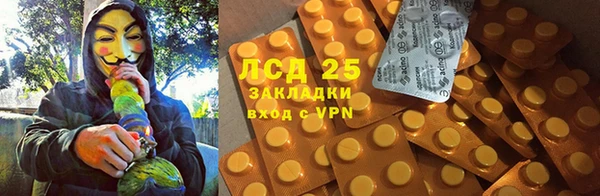 эйфоретик Бородино