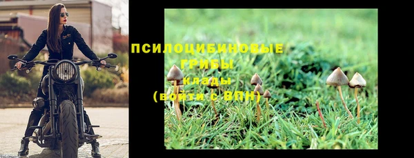 эйфоретик Бородино