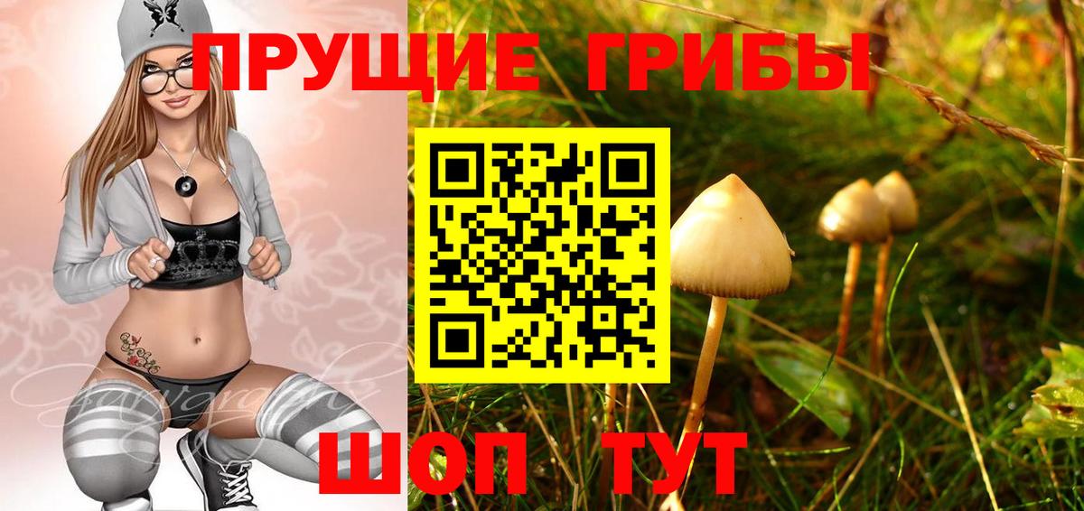 Галлюциногенные грибы Cubensis  Псилоцибиновые грибы мицелий  Балашиха  купить закладку  Вход с VPN 