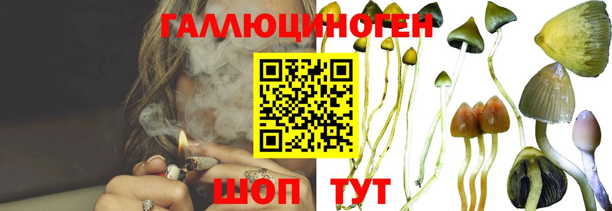 Псилоцибиновые грибы Magic Shrooms Балашиха
