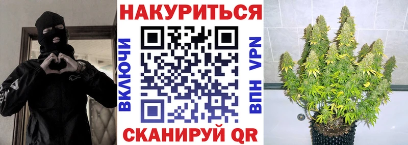 Канабис сатива  Балашиха 